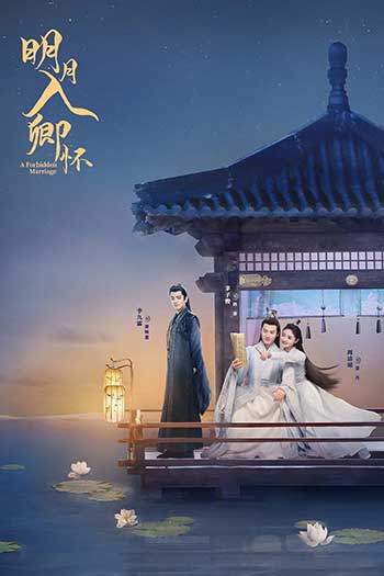 明月入卿怀（2025）