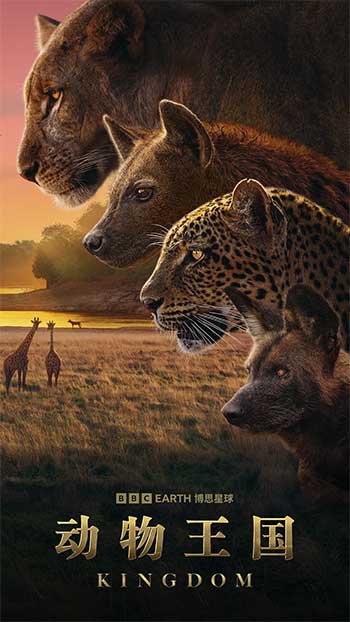 动物王国（2025）