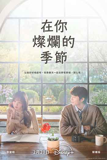 在你的灿烂季节（2026）