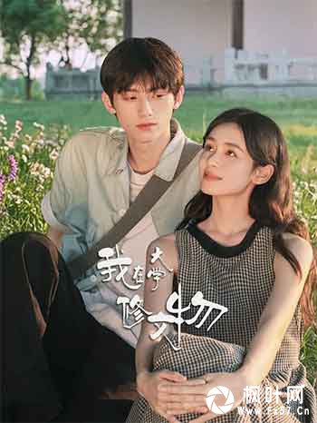 我在大学修文物（2026）