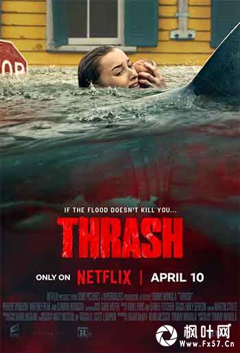 狂鲨风暴（2026）