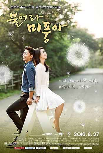 吹吧，微风啊（2016）