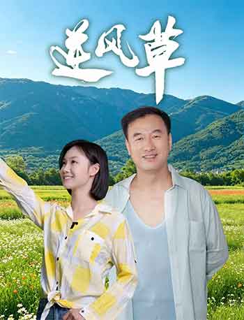逆风草（2026）