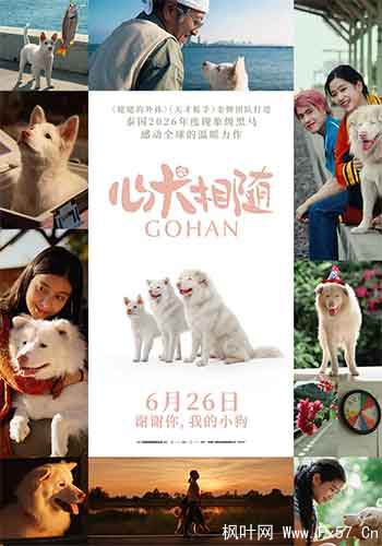 心犬相随（2026）
