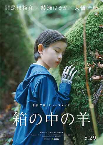 盒子里的羊（2026）